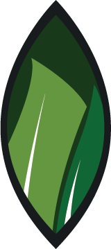Sustainability